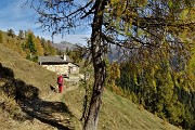 Anello del PIZZO BADILE (2044 m) da Piazzatorre il 21 ottobre 2017 - FOTOGALLERY
